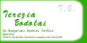 terezia bodolai business card
