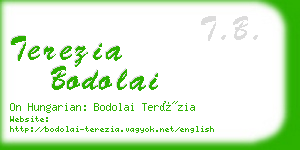 terezia bodolai business card